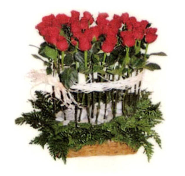 Jardín de Rosas