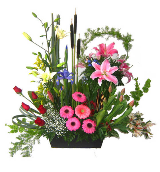 Gerberas y Rosas