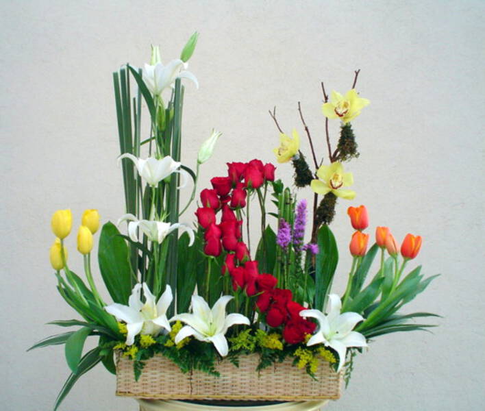 Tulipanes y Rosas