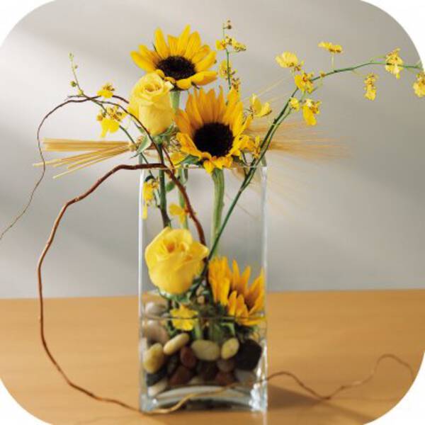 Girasol - Florería Sydney
