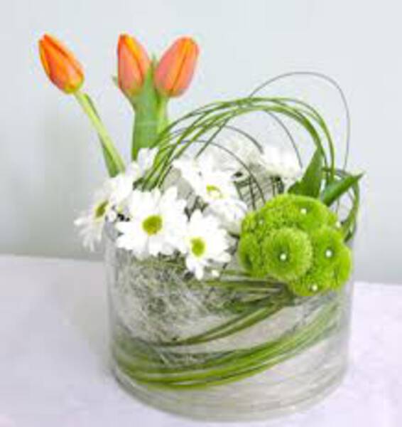 Tulipanes