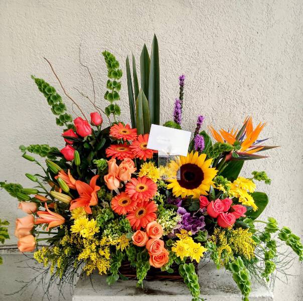 Combinación Naranja