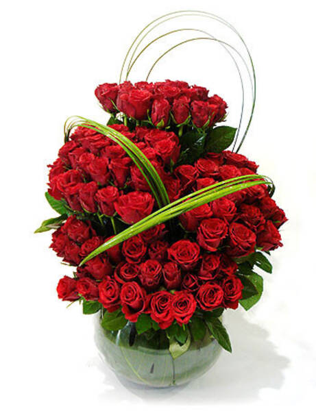 Jaula de Rosas