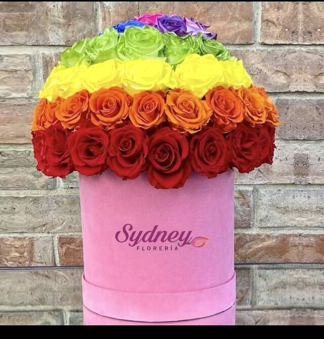 Caja de Rosas Arco Iris
