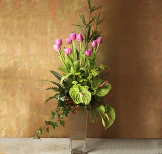 Tulipanes Rosas