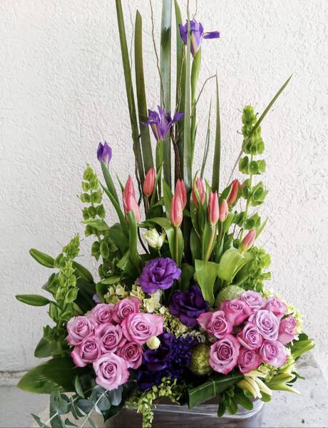 Tulipanes Rosas