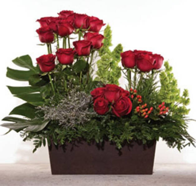 Rosas Fantasía