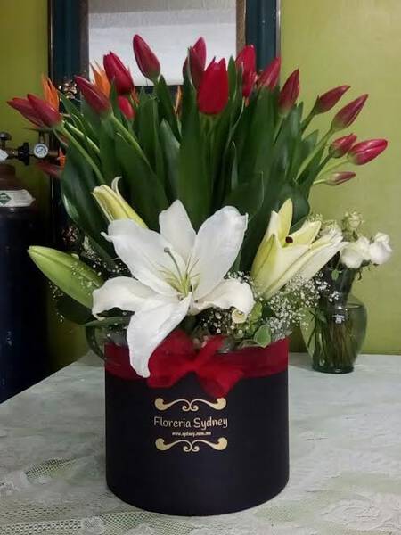 Tulipanes Rojos