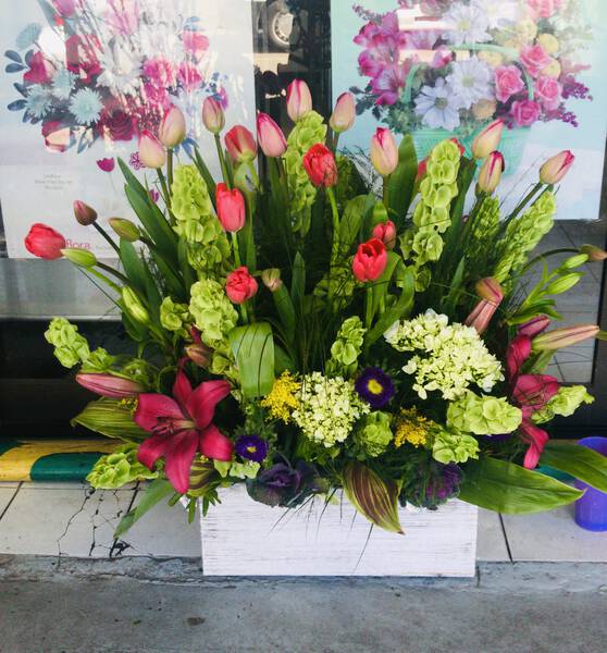 Tulipanes y Lilies
