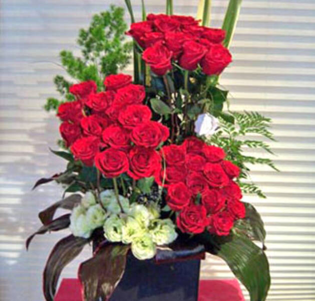 Inocencia y Amor