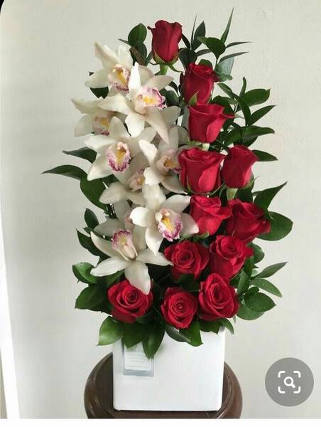 Rosas y Orquídeas