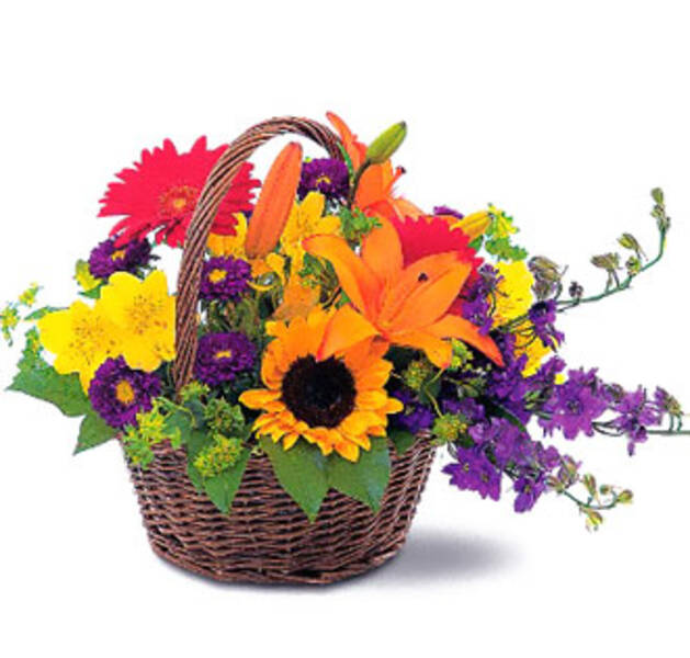 Canasta Primavera