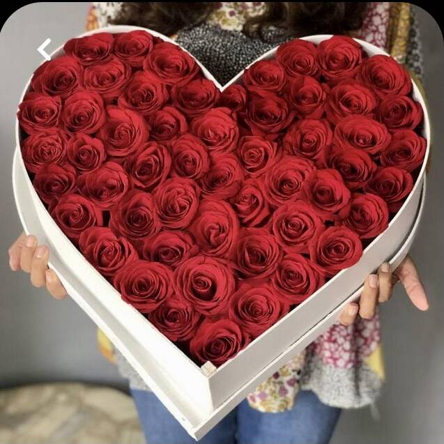 Mi Corazón