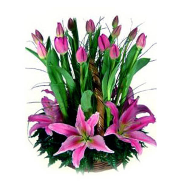 Canasta de Tulipanes