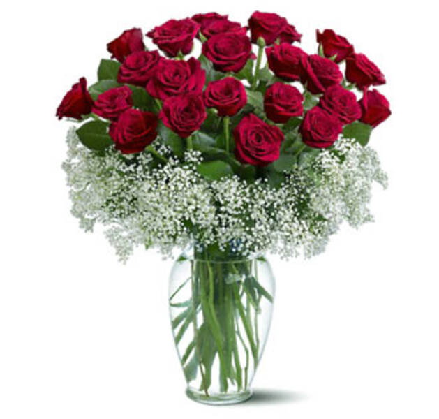 Campo de Rosas