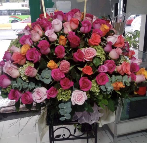 Sensación de Colores