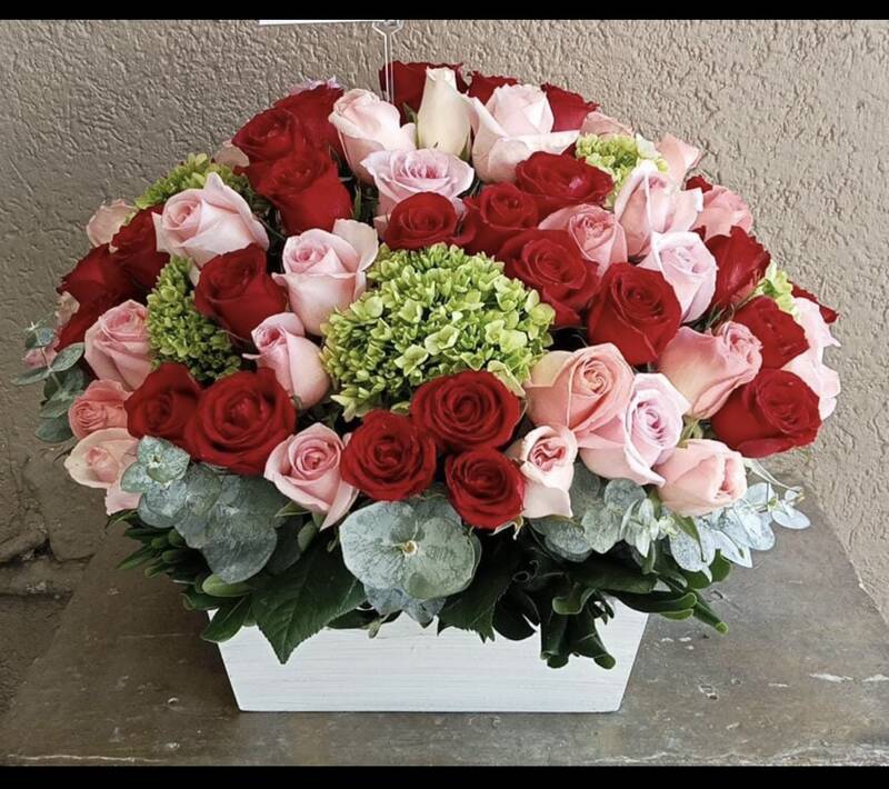 Primavera