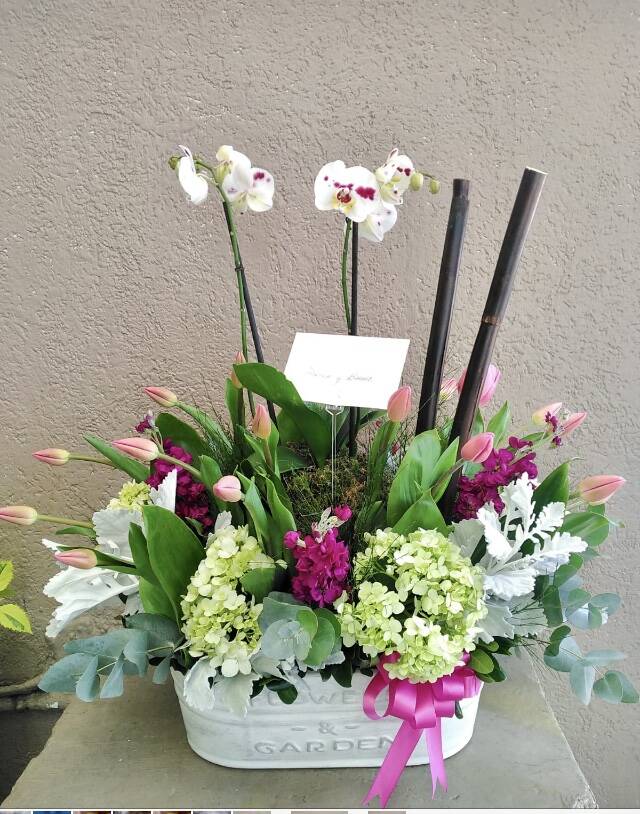 Orquídeas y Tulipanes