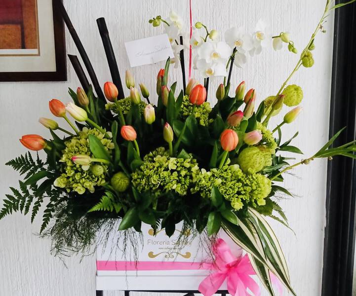 Flores Alegría